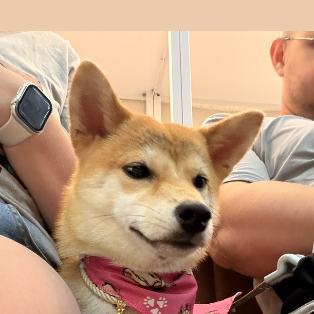 Miya